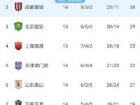 乐鱼体育登录-中超-基莱斯建功王大雷扑点天津1-0反超泰山升至第五的简单介绍
