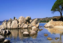 人口仅15万！库拉索首进世界杯成为史上最小参赛球队的简单介绍