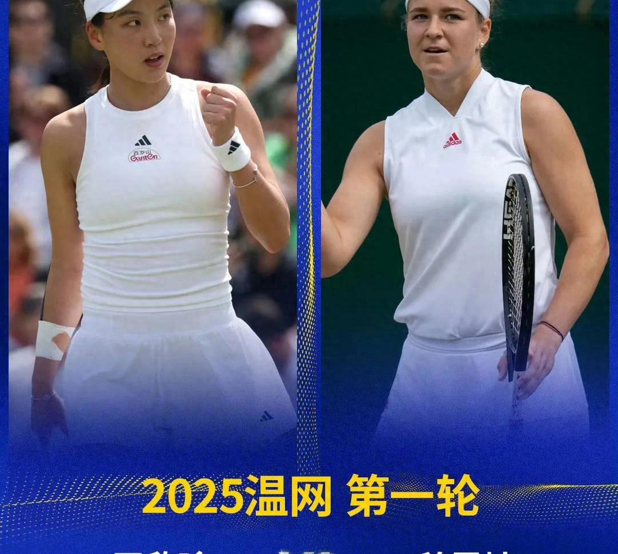 结束生涯最后一战!31岁网坛美女退役曾夺温网亚军的简单介绍